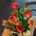 Bos tulpen (rood)